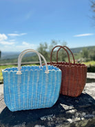 BCMIKA bag - Brown - Black Colour