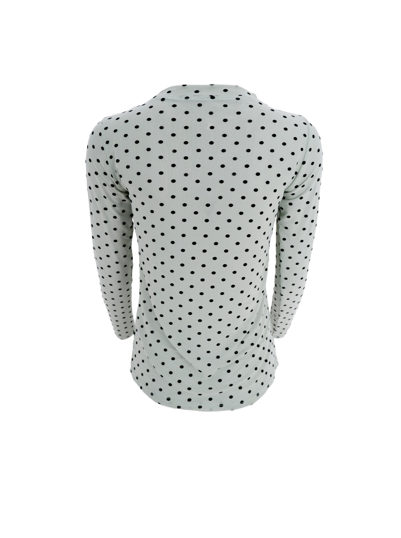 BCJENNIE dotted mesh blouse - Pastel Green - Black Colour